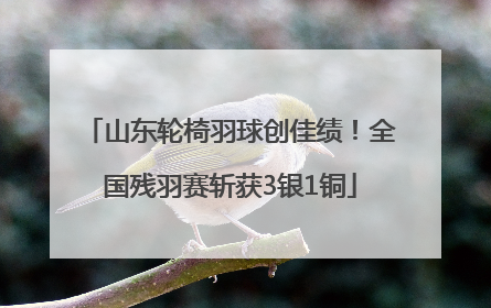 山东轮椅羽球创佳绩！全国残羽赛斩获3银1铜