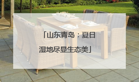 山东青岛：夏日湿地尽显生态美