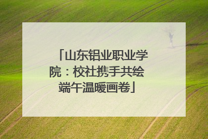 山东铝业职业学院：校社携手共绘端午温暖画卷