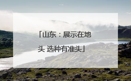 山东：展示在地头 选种有准头