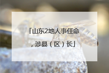 山东2地人事任命，涉县（区）长