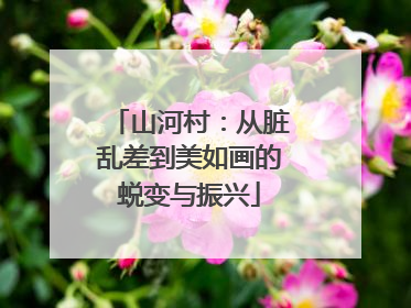 山河村：从脏乱差到美如画的蜕变与振兴