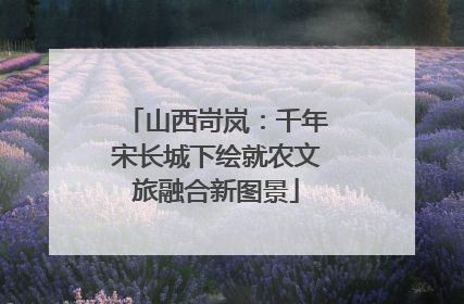 山西岢岚：千年宋长城下绘就农文旅融合新图景