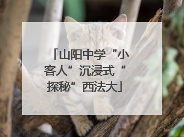 山阳中学“小客人”沉浸式“探秘”西法大