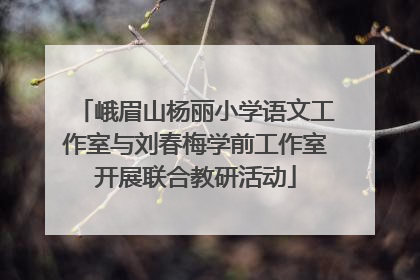 峨眉山杨丽小学语文工作室与刘春梅学前工作室开展联合教研活动