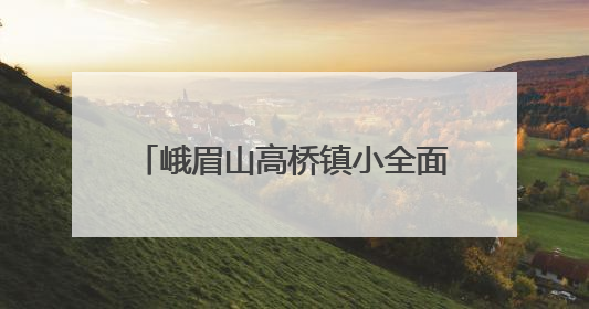 峨眉山高桥镇小全面关注学生心理健康