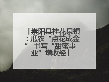 崇阳县桂花泉镇：瓜农“点花成金” 书写“甜蜜事业”增收经