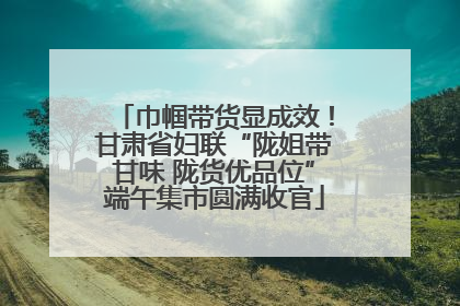 巾帼带货显成效！甘肃省妇联“陇姐带甘味 陇货优品位”端午集市圆满收官
