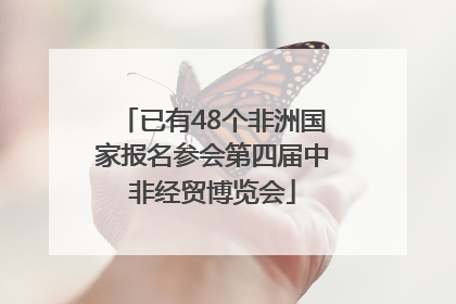 已有48个非洲国家报名参会第四届中非经贸博览会