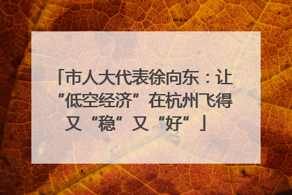 市人大代表徐向东：让“低空经济”在杭州飞得又“稳”又“好”