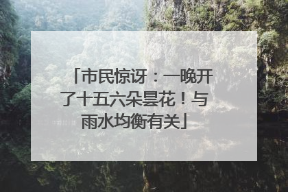 市民惊讶：一晚开了十五六朵昙花！与雨水均衡有关