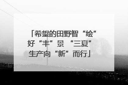 希望的田野智“绘”好“丰”景 “三夏”生产向“新”而行
