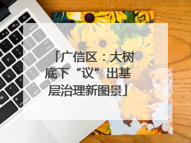 广信区：大树底下“议”出基层治理新图景