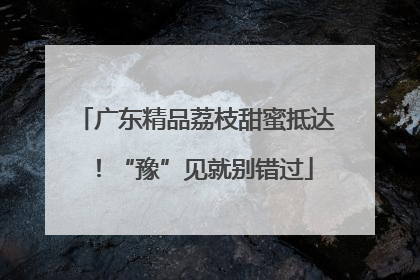 广东精品荔枝甜蜜抵达！“豫”见就别错过