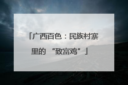 广西百色：民族村寨里的 “致富鸡”