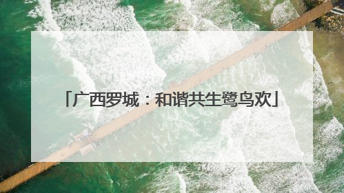 广西罗城：和谐共生鹭鸟欢