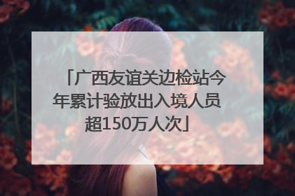 广西友谊关边检站今年累计验放出入境人员超150万人次