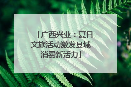 广西兴业：夏日文旅活动激发县域消费新活力
