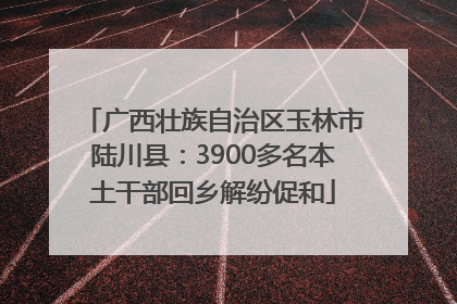 广西壮族自治区玉林市陆川县：3900多名本土干部回乡解纷促和