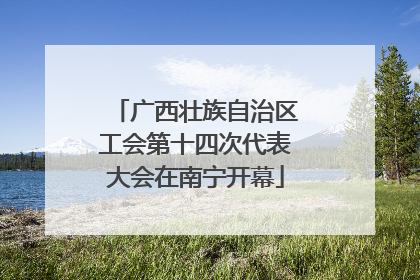 广西壮族自治区工会第十四次代表大会在南宁开幕
