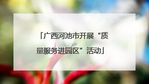 广西河池市开展“质量服务进园区”活动