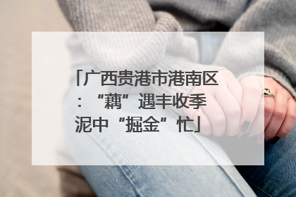 广西贵港市港南区：“藕”遇丰收季 泥中“掘金”忙