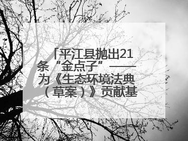 平江县抛出21条“金点子”——为《生态环境法典（草案）》贡献基层智慧