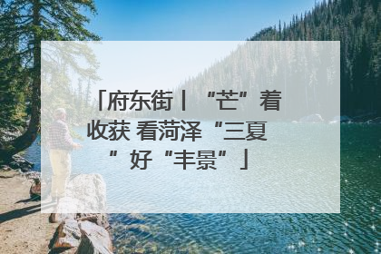 府东街丨“芒”着收获 看菏泽“三夏”好“丰景”