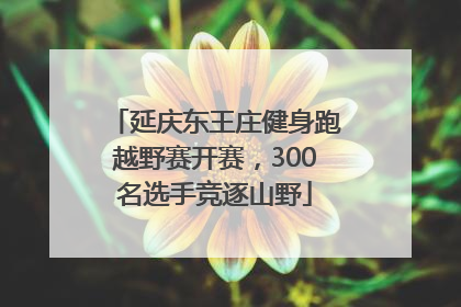 延庆东王庄健身跑越野赛开赛，300名选手竞逐山野