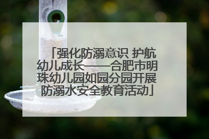 强化防溺意识 护航幼儿成长——合肥市明珠幼儿园如园分园开展防溺水安全教育活动