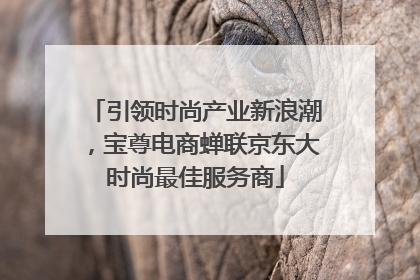 引领时尚产业新浪潮，宝尊电商蝉联京东大时尚最佳服务商