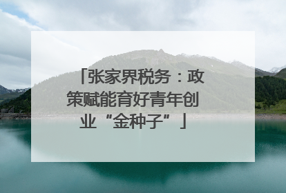 张家界税务：政策赋能育好青年创业“金种子”