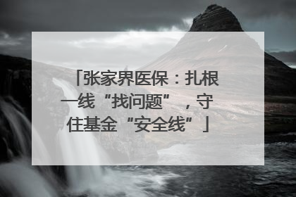 张家界医保：扎根一线“找问题”，守住基金“安全线”