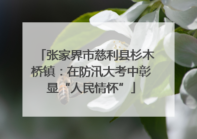 张家界市慈利县杉木桥镇：在防汛大考中彰显“人民情怀”