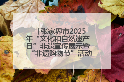 张家界市2025年“文化和自然遗产日”非遗宣传展示暨“非遗购物节”活动在慈利县盛大启幕