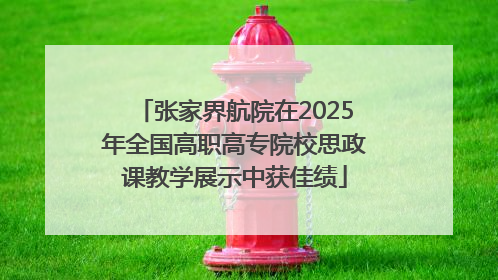 张家界航院在2025年全国高职高专院校思政课教学展示中获佳绩