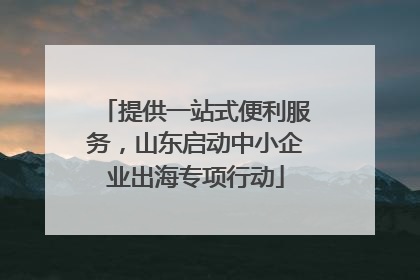 提供一站式便利服务，山东启动中小企业出海专项行动