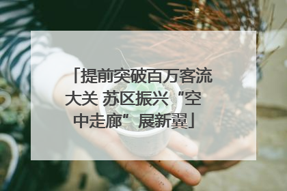 提前突破百万客流大关 苏区振兴“空中走廊”展新翼