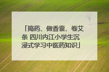 捣药、做香囊、卷艾条 四川内江小学生沉浸式学习中医药知识