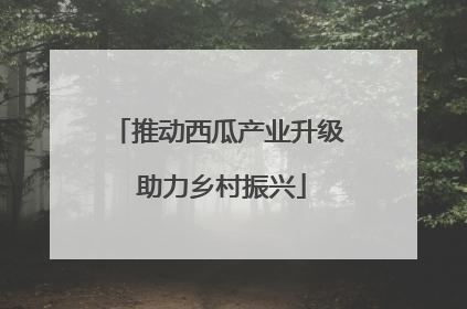 推动西瓜产业升级 助力乡村振兴