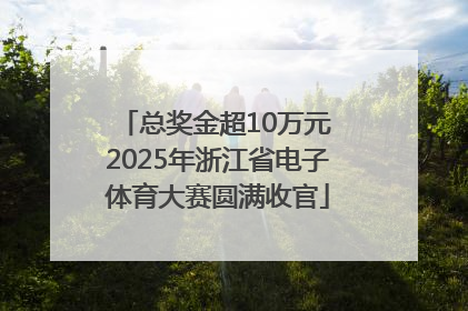 总奖金超10万元 2025年浙江省电子体育大赛圆满收官