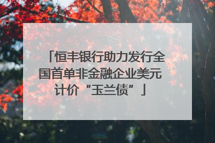 恒丰银行助力发行全国首单非金融企业美元计价“玉兰债”