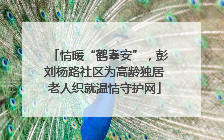 情暖“鹤耋安”，彭刘杨路社区为高龄独居老人织就温情守护网