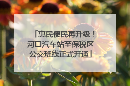 惠民便民再升级！河口汽车站至保税区公交班线正式开通