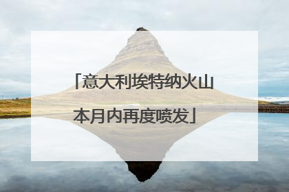 意大利埃特纳火山本月内再度喷发