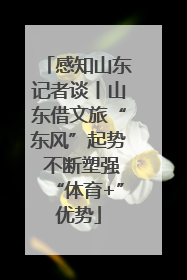 感知山东记者谈丨山东借文旅“东风”起势 不断塑强“体育+”优势