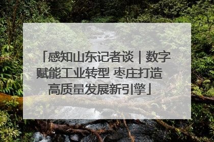 感知山东记者谈｜数字赋能工业转型 枣庄打造高质量发展新引擎
