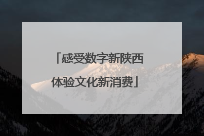 感受数字新陕西 体验文化新消费