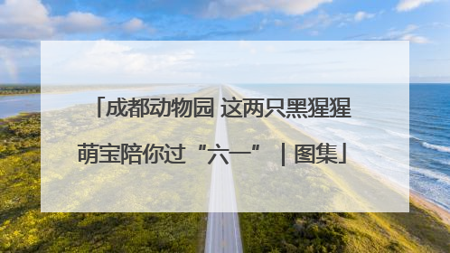 成都动物园 这两只黑猩猩萌宝陪你过“六一”｜图集