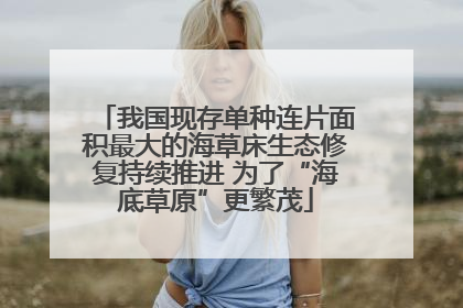 我国现存单种连片面积最大的海草床生态修复持续推进 为了“海底草原”更繁茂